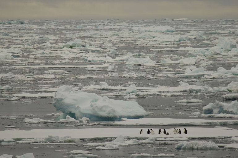 Penguins on the move in a warming world