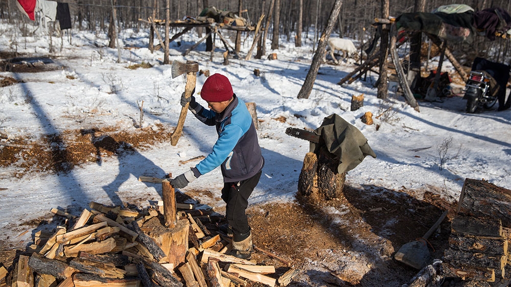 A young Dukha boy chops firewood near Tsagaannuur [Taylor Weidman/Al Jazeera]
