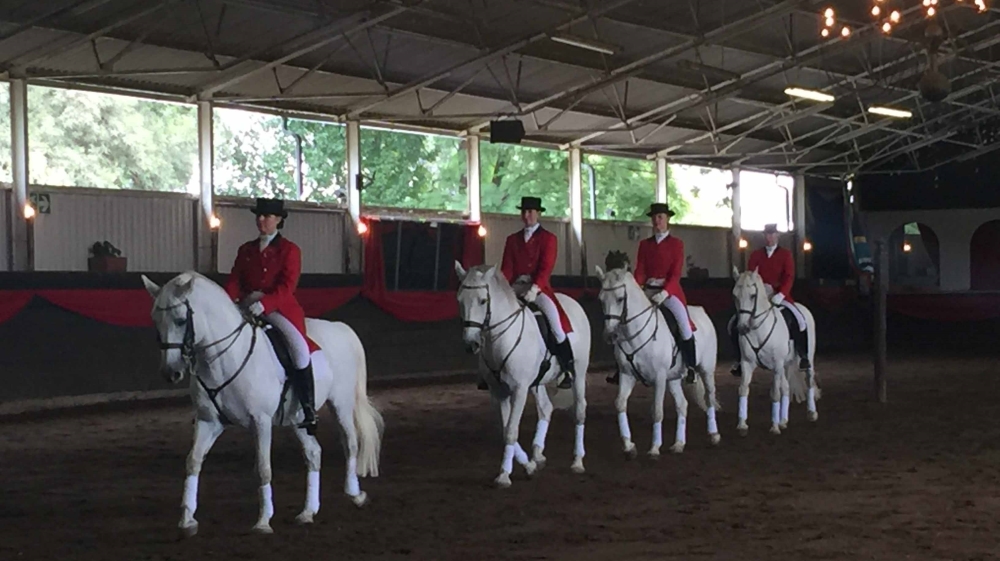Admired for their stellar physique, there are 4,000 Lipizzaners in the world [Al Jazeera]