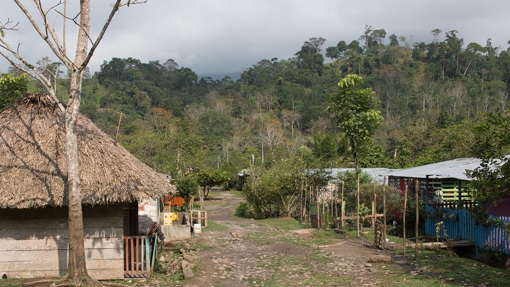 Houses line the community, where most people work during the day in nearby farms [Joe Parkin Daniels/Al Jazeera]