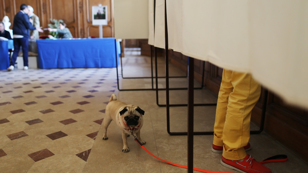 A dog waits outside a polling booth as his owner prepares to cast his ballot [Charly Triballeau/AFP]