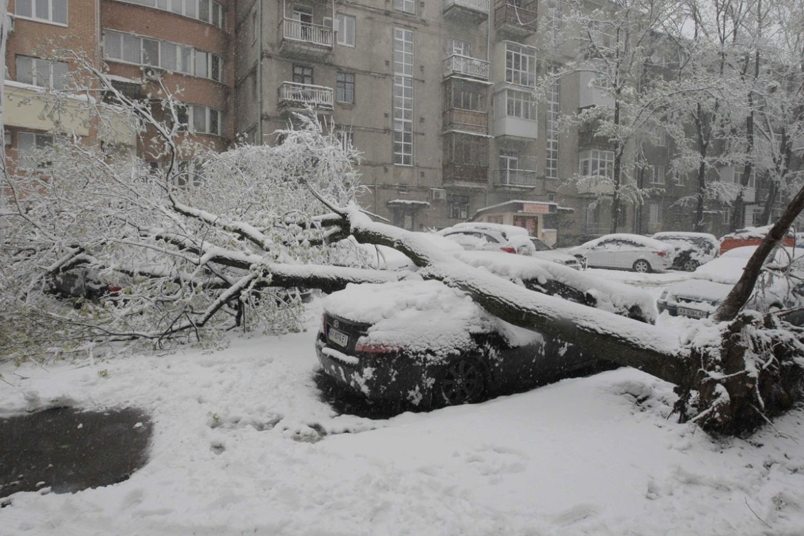 Spring snow is much heavier than winter snow, and causes this sort of damage. Kharkiv, Ukraine
