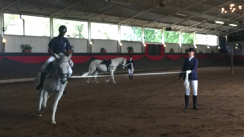 Up until recently, there was little opportunity to join the South African Lipizzaners [Al Jazeera]