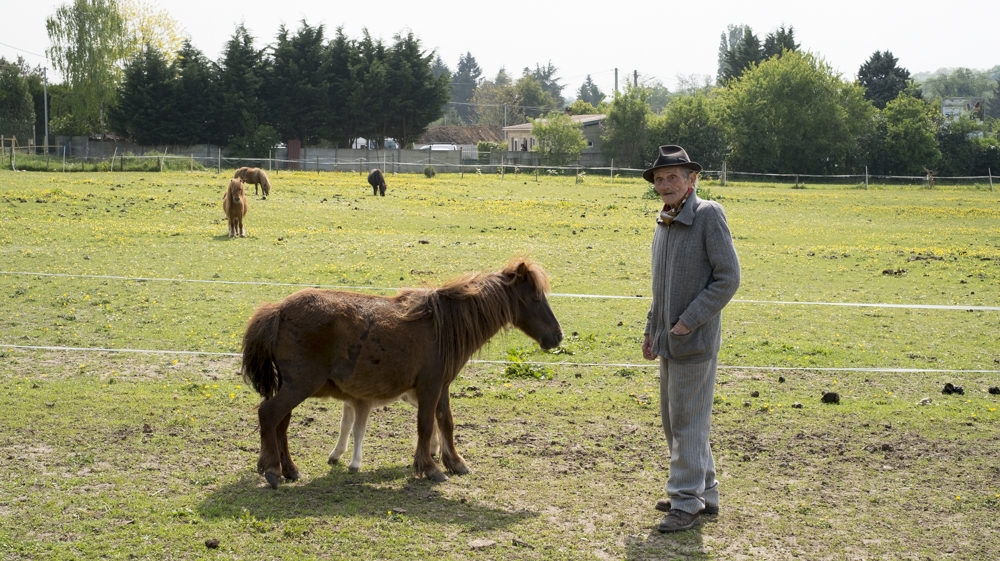 Gureme tends to his ponies in his field [Raymond Bobar/Al Jazeera]