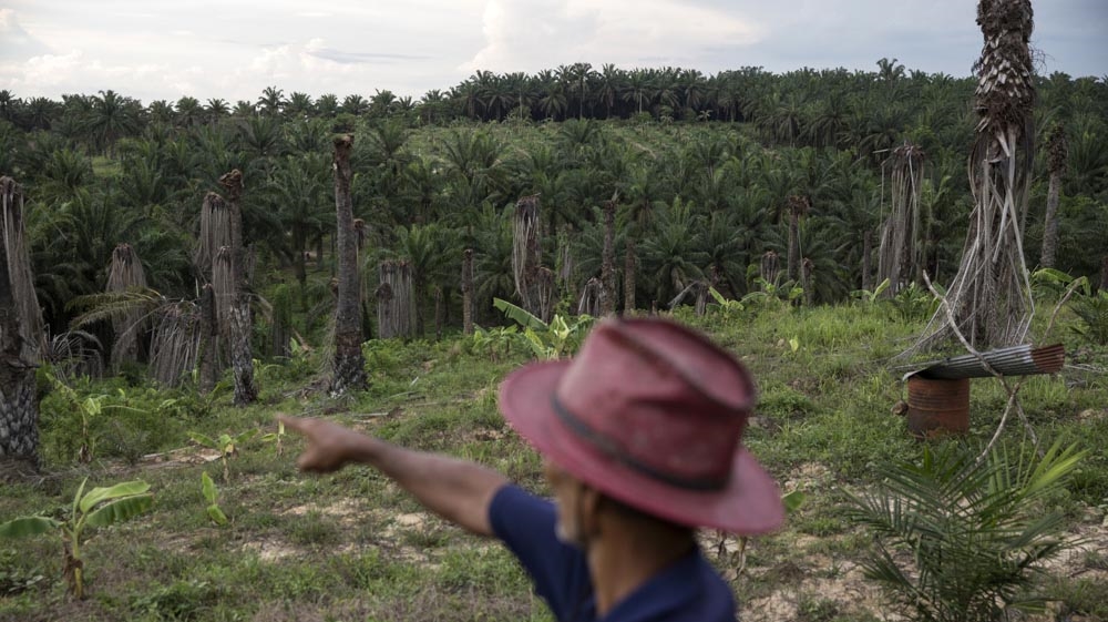 Pasit Bunban, 67, points to the boundaries of the communities land and the land of the expired land concession. [Luke Duggleby/Al Jazeera]