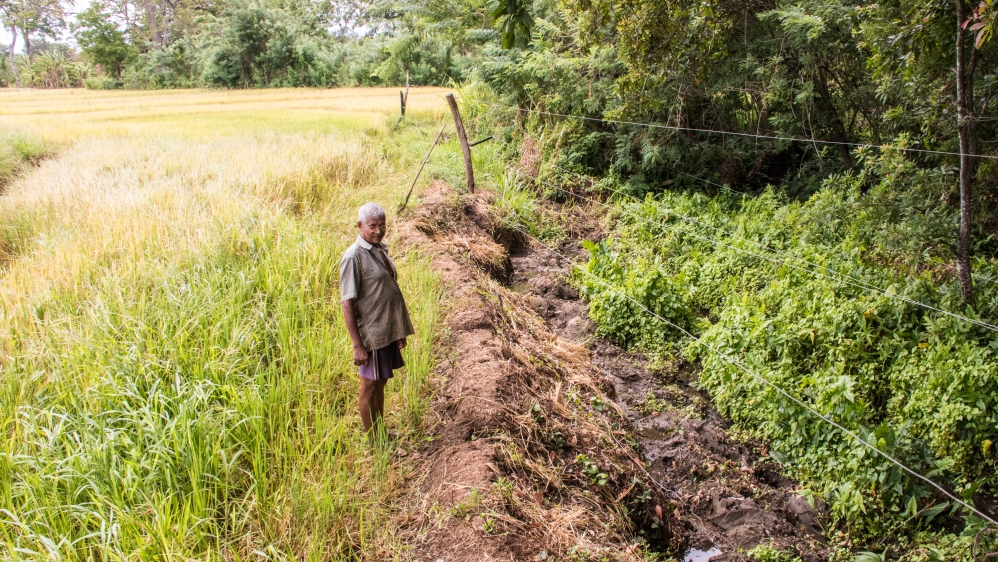 PP Ariyaratna, a local farmer, shows off the fence around his crops [Smriti Daniel/Al Jazeera]