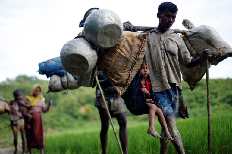 Rohingya walk through a paddy field after crossing to Bangladesh