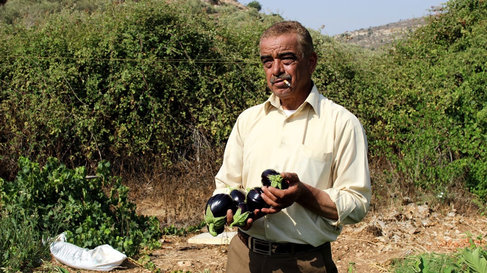 Jammal Hammad at his farm in Salfit [Jaclynn Ashly/Al Jazeera]