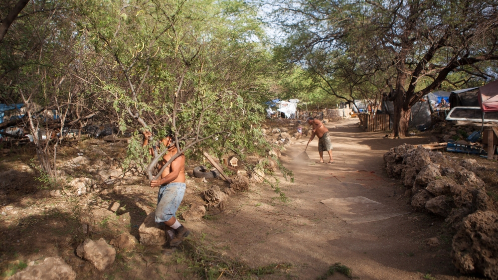 Residents of Pu'uhonua camp clear fallen branches from paths in the community [Emre Caylak/Al Jazeera]
