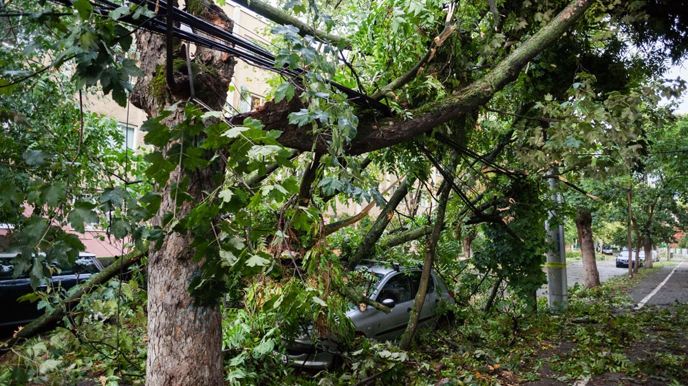 A car is pictured under tree branches after a severe storm and wind gusts in Timisoara [AFP]