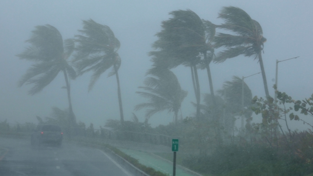 Palm trees in San Juan, Puerto Rico, bend in the wind as Hurricane Irma slammed across northern Caribbean islands [Alvin Baez/Reuters]