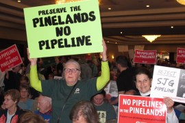 Pipeline in Pineland protest AP
