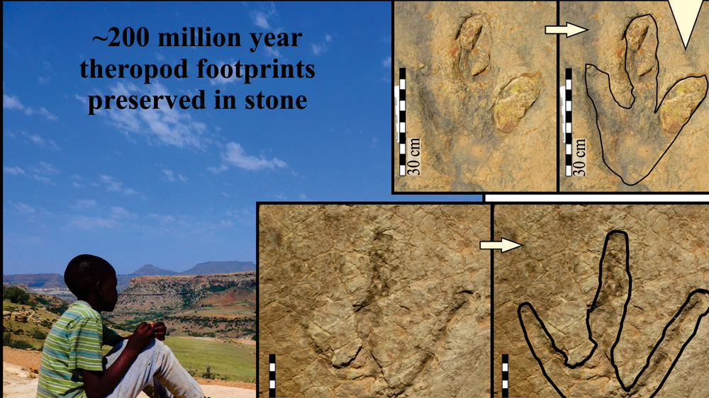 Images of ancient land surfaces and the casting of tracks [Lara Sciscio/Al Jazeera]
