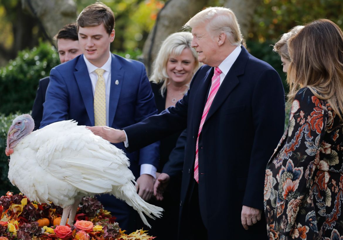 U.S. President Donald Trump participates in the 70th National Thanksgiving turkey pardoning ceremony in the Rose Garden of the White House in Washington, U.S., November 21, 2017. REUTERS/Carlos Barria