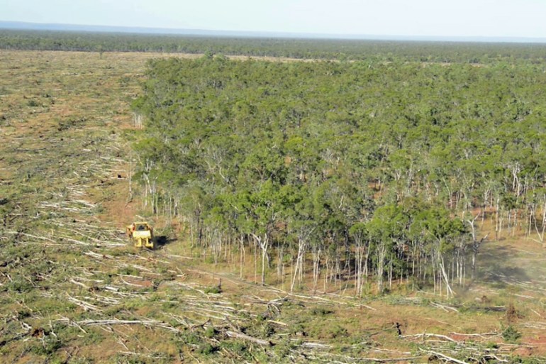 Australia deforestation