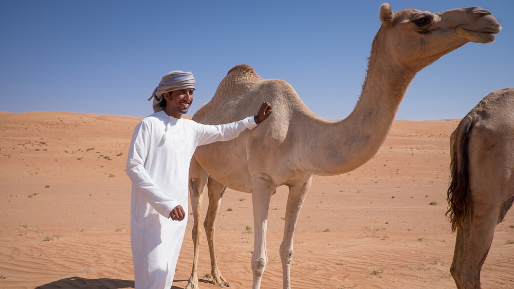 Bedouins have traditionally raised camels and goats to make a living [Wojtek Arciszewski/Al Jazeera]