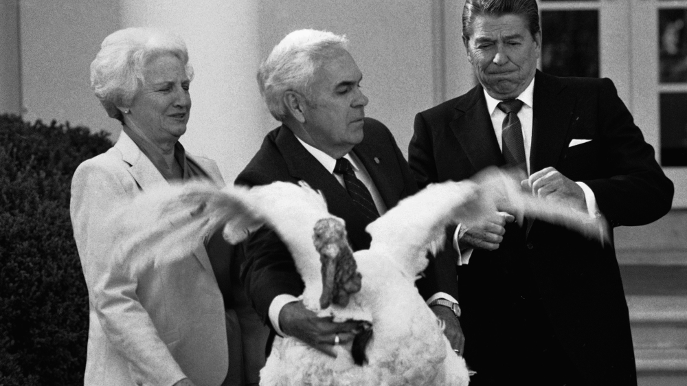 President Ronald Reagan seems startled as John Hendrick, President of the National Turkey Federation, presents him with the annual live “Thanksgiving Turkey” on November 16, 1984 at the White House. [AP Photo/Scott Stewart]