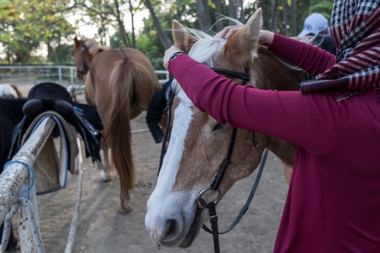 Equine therapy for refugees