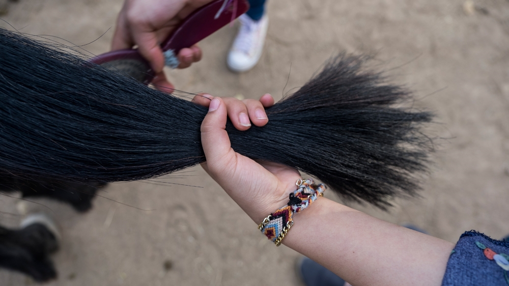 Participants learn how to care for the horses, including brushing their manes and tails [Fahrinisa Oswald/Al Jazeera] 