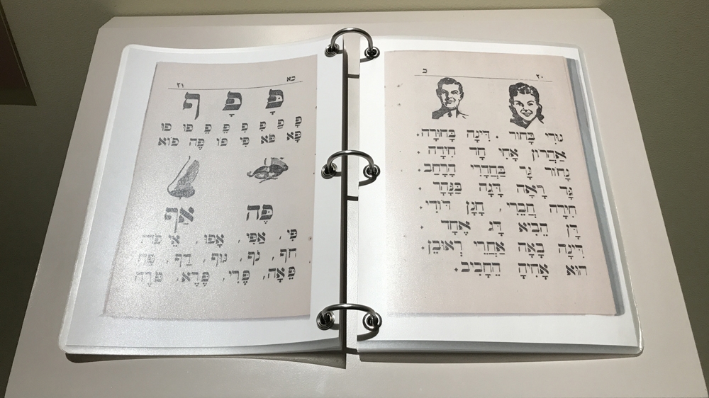 The collection has books in several languages, including Hebrew and Arabic [Dalia Hatuqa/Al Jazeera]