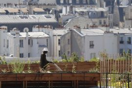 Urban garden reuters