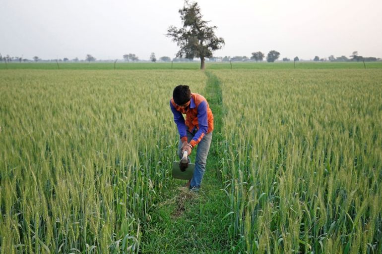 India farmers