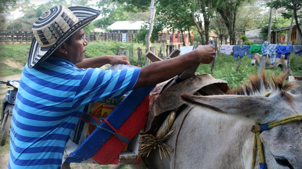 After launching Biblioburro, Soriano renamed his donkeys 'Alfa' and 'Beto' after the Spanish word for alphabet ('alphabeto') [Biblioburro]