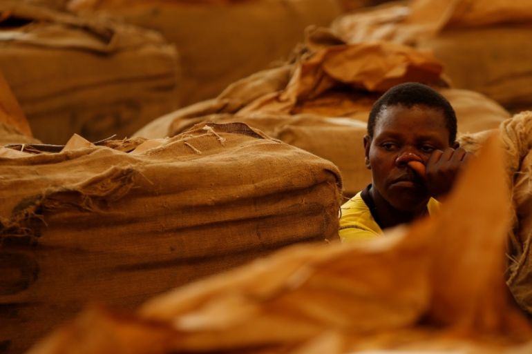 Workers await the start of the marketing season at Tobacco Sales Floor in Harare, Zimbabwe