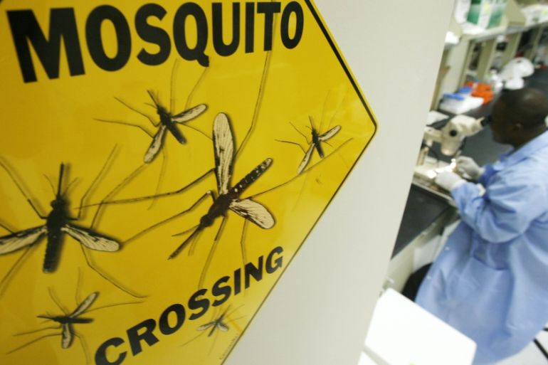 Worker Solomon Conteh dissects a mosquito at Sanaria Inc. facility in Rockville