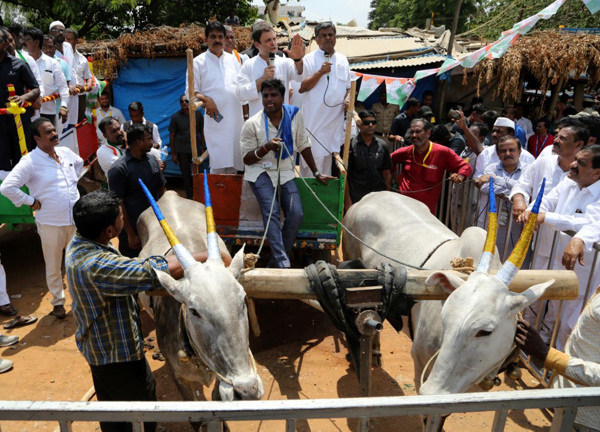India''s Congress party president Rahul Gandhi, center, addresses from a bullock cart while campaigning for upcoming Karnataka state legislative elections in Malur, 45 kilometers (28 miles) from Bangal