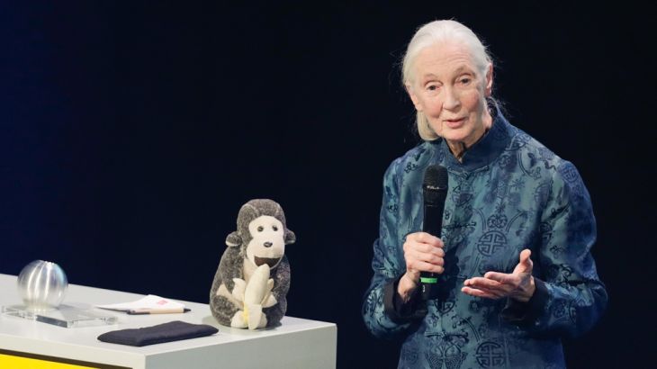 Jane Goodall primatologist and conservationist