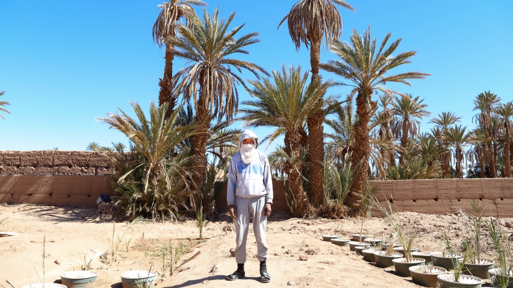 Bahadi Habib stands in the plantation, where he helps Sbai plant palm trees [Viktorija Mickute/Al Jazeera]