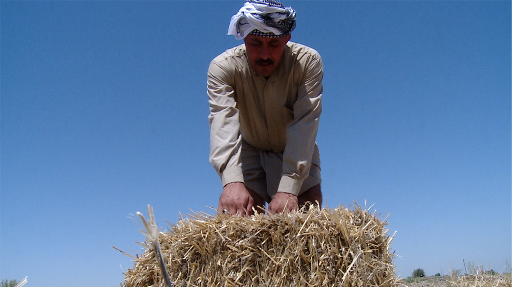 Omar Di'ibil, 35, was only able to plant three to four hectares of his 50-hectare plot of land this year because of water shortages [Arwa Ibrahim/Al Jazeera]