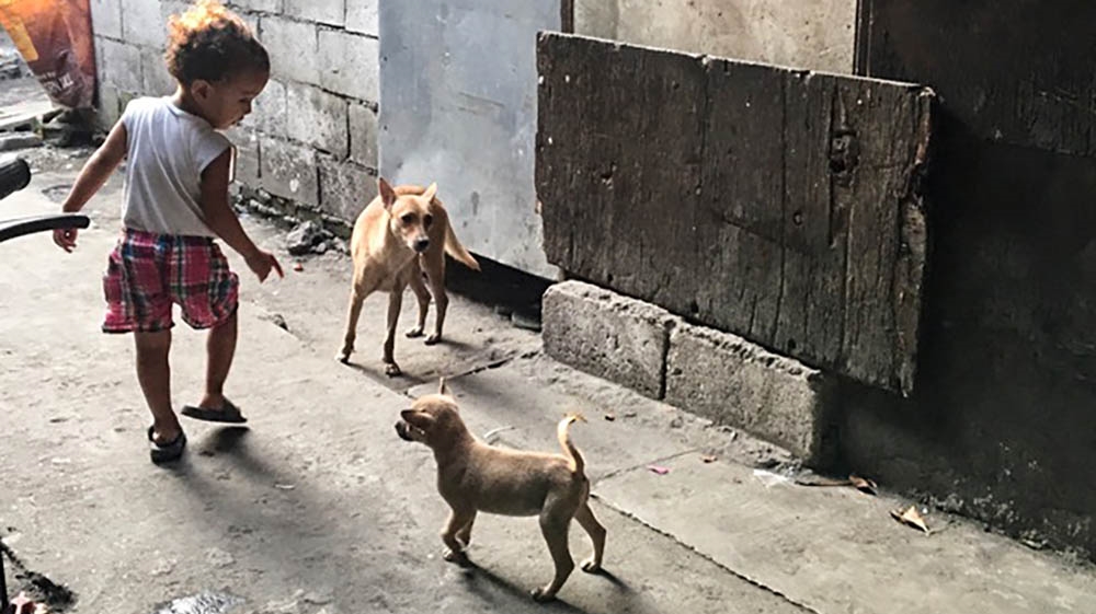 A child plays with neighbourhood dogs in Tondo before eating a hot meal provided by Bahay Tuluyan. For many children, this will be their only full meal of the day [Anne Bouleanu/Al Jazeera]