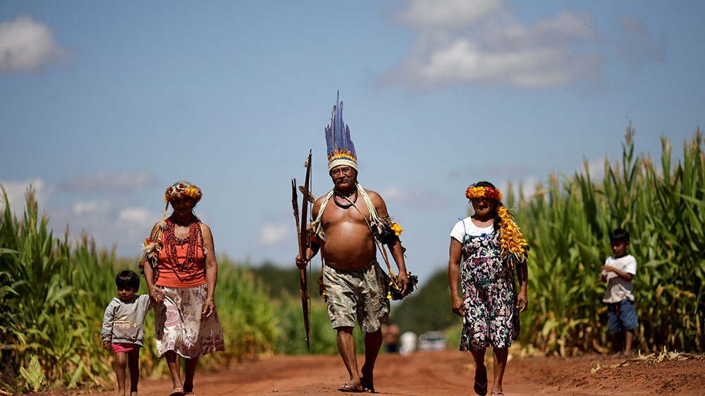 Chief Joao Ponce, centre, head of the Uirapuru indigenous community, walks along a cornfield near the town of Conquista do Oeste, Brazil [File: Ueslei Marcelino/Reuters]