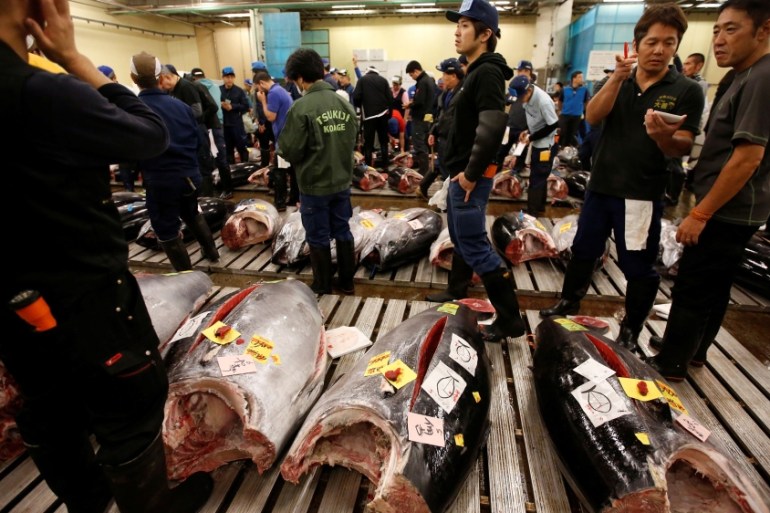 Tsukiji fish market Tokyo
