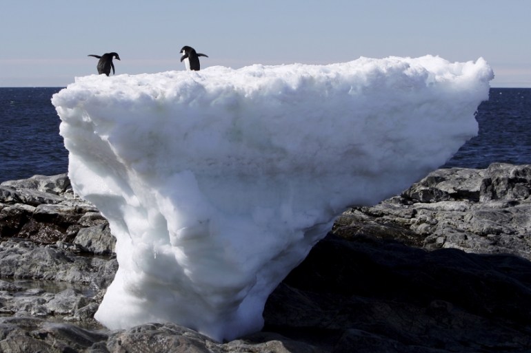 Two Adelie penguins stand atop a block of melting ice on a rocky shoreline at Cape Denison, Commonwealth Bay, in East Antarctica in this January 1, 2010 file photo