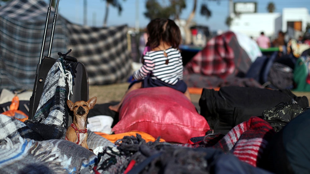 Techa, a dog belonging to migrants, part of a caravan of thousands from Central America trying to reach the United States, rests in a temporary shelter in Tijuana, Mexico [Hannah McKay/Reuters] 