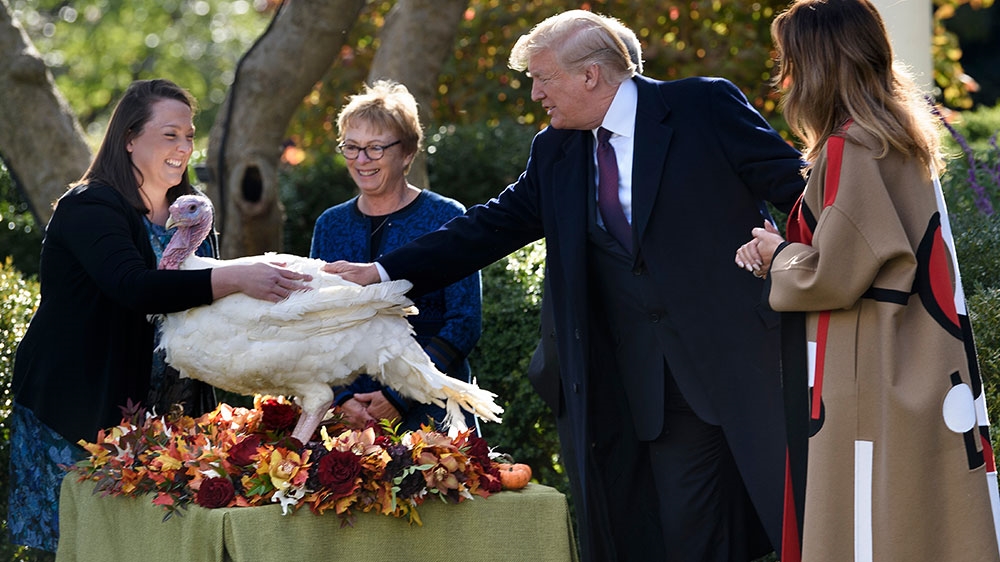 US First Lady Melania Trump and others watch as US President Donald Trump pets Peas after pardoning the turkey in the Rose Garden of the White House [Bredan Smialowksi/AFP] 