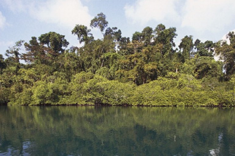 Andaman and Nicobar Island