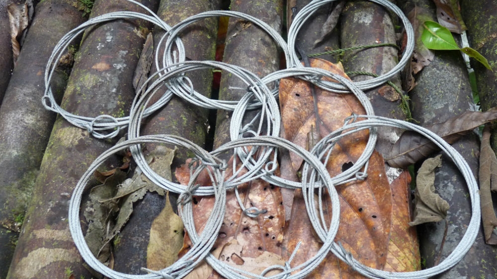 Snares - made of wire cables and cheap to produce - recovered from the Malaysian jungle [Courtesy Shariff Mohamad/WWF Malaysia]