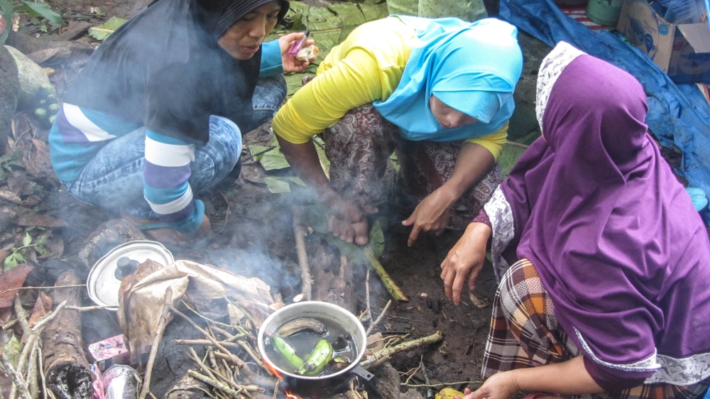 Food is scarce at Kebun Damos where the displaced families scavenge food from the surrounding jungle, including unripened bananas which they boil to make edible [Teguh Harahap/Al Jazeera]