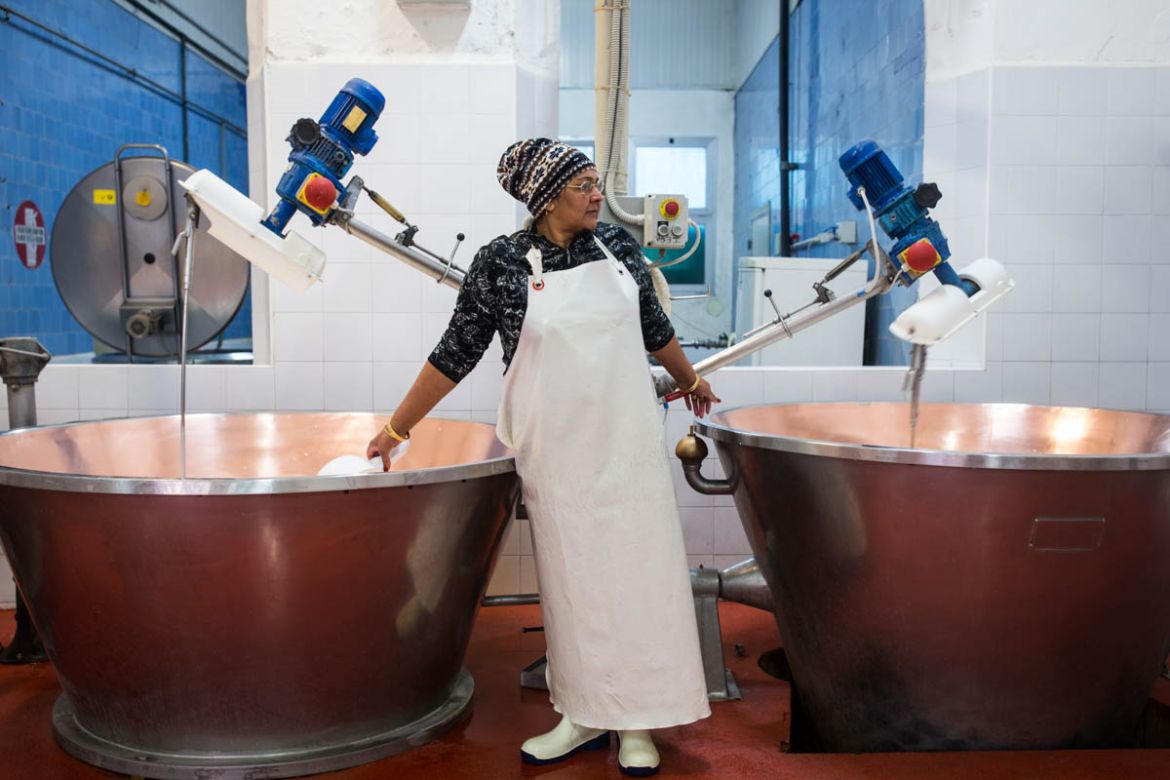 Kumari Sudesh, 46, prepares to make Parmesan cheese. Her husband, Lal Madan, is also a cheese maker and their 20-year-old son has now followed in their footsteps. [Erik Messori/CAPTA/Al Jazeera]