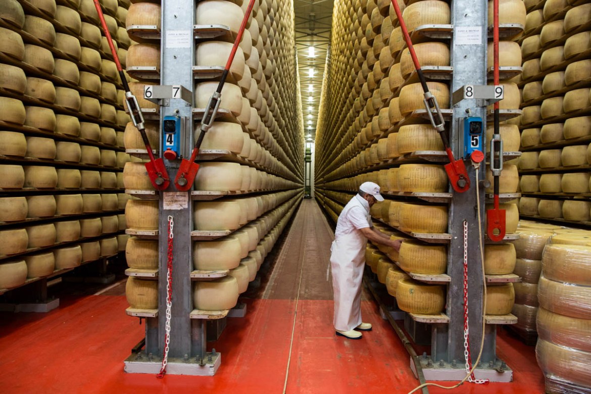 A worker in one of the larger cheese factories in Lesignana in Modena province checks some wheels of Parmesan that have been left to mature. [Erik Messori/CAPTA/Al Jazeera]