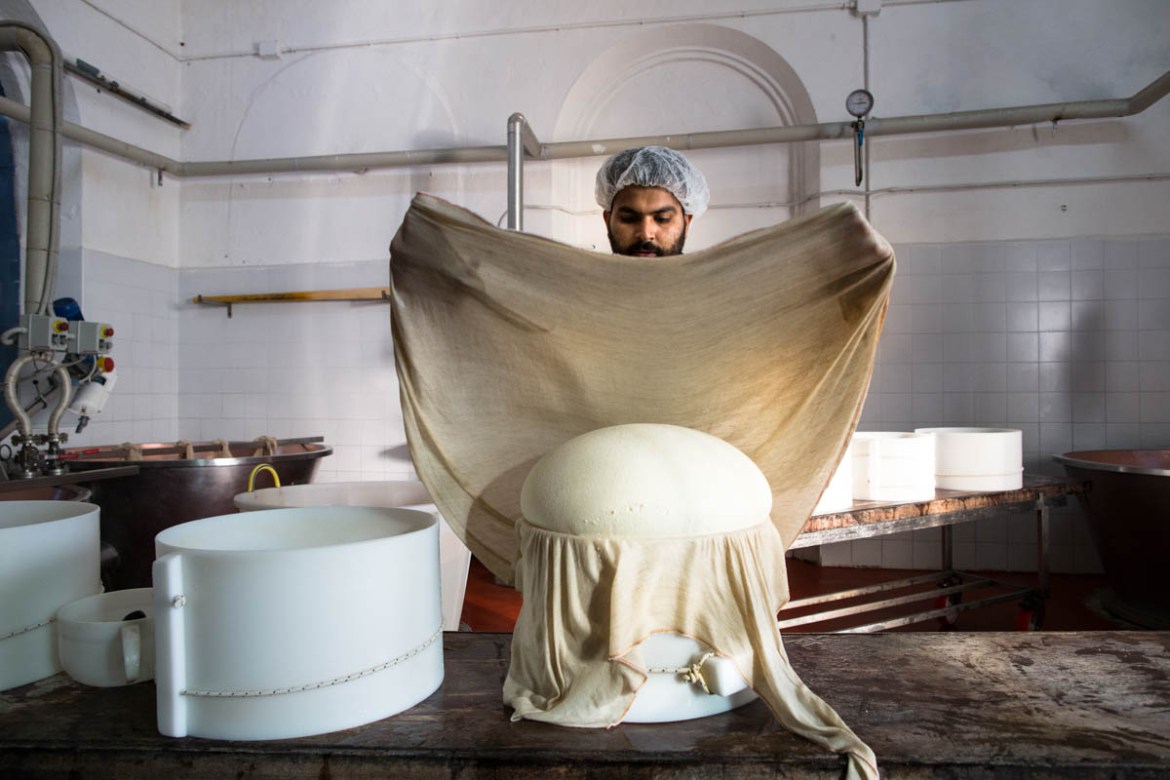 The small traditional Parmesan cheese factory where Madan, Gursharn and Singh work produces 5,000 handmade wheels of Parmesan cheese each year. [Erik Messori/CAPTA/Al Jazeera]