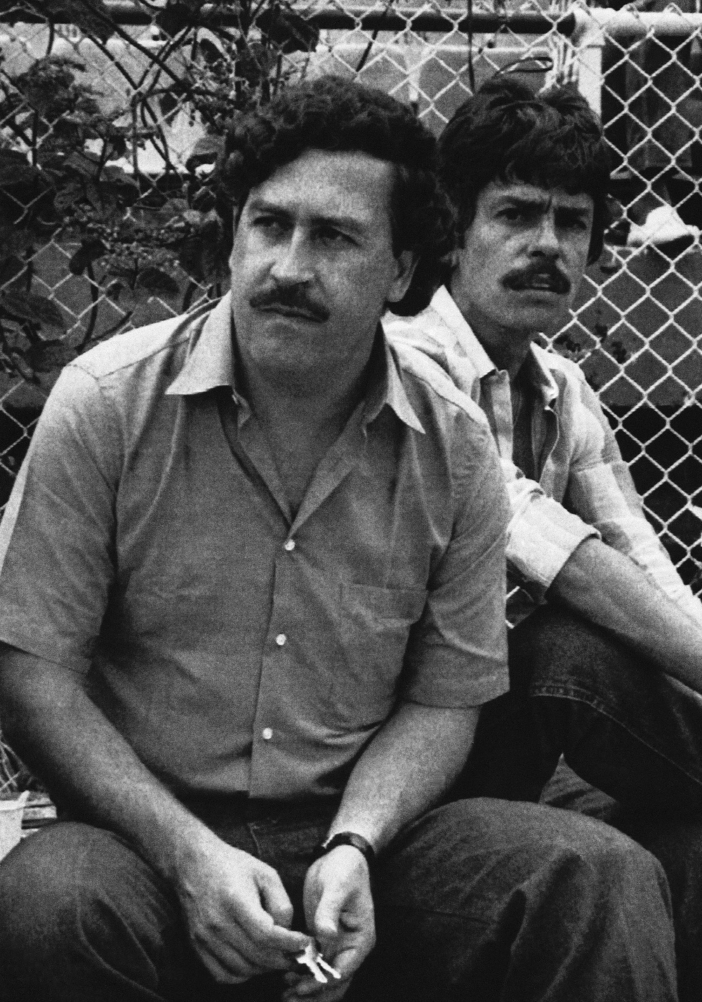 Pablo Escobar watching a football game in Medellin in 1983 [File: AP Photo]