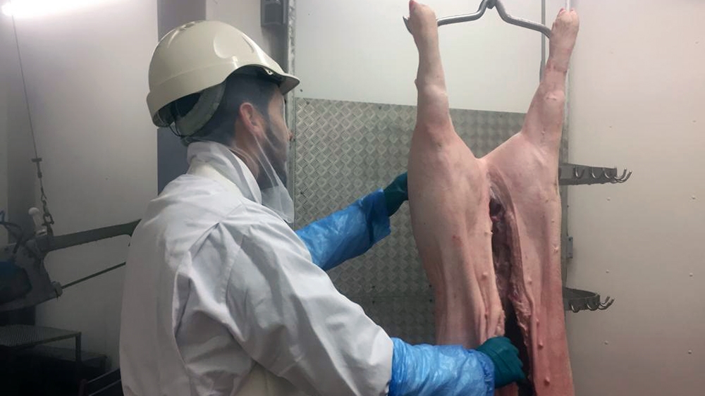 Juan Chulian, a veterinary manager in South Wales, says European workers are now avoiding the Welsh abattoir industry over concerns they will not be able to stay after Brexit [Joe Wallen/Al Jazeera]