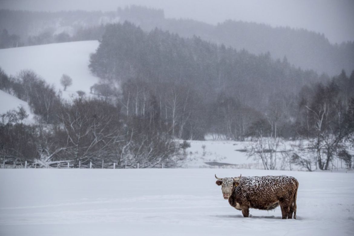 In Pictures: Europe''s crippling winter