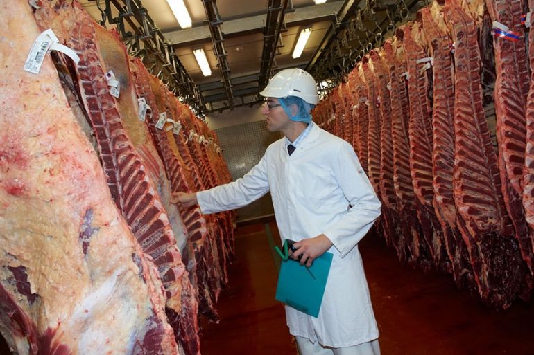 Abattoir Wales Story - DO NOT USE - RESTRICTED
