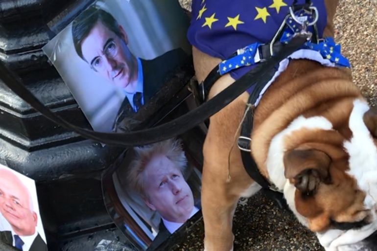 Pets against Brexit